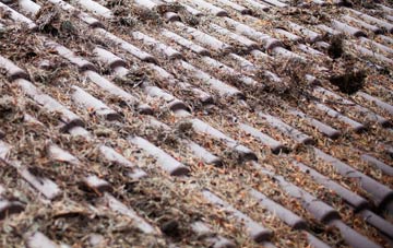 Hinton St Mary roof cleaning companies