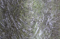 Hinton St Mary fibreglass roof work